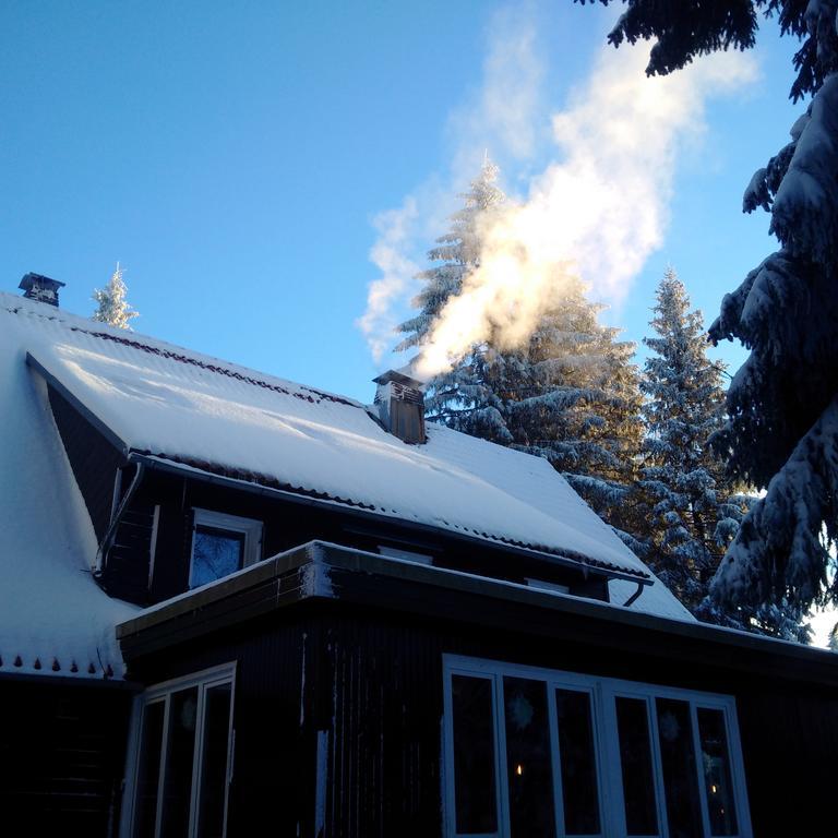 The Cabin - Harz National Park Hotel ซังคท์อันเดรอัสแบร์ก ภายนอก รูปภาพ